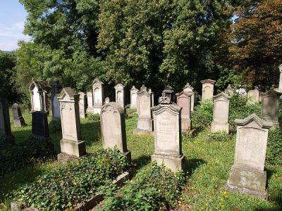jüdischer Friedhof Niederbieber - Ansicht
